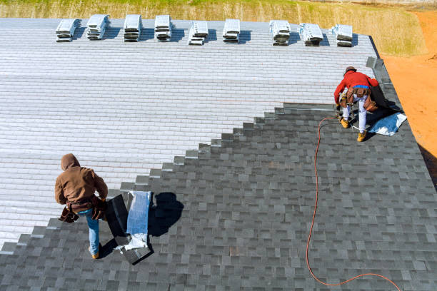 Roof Gutter Cleaning in Coal City, IL